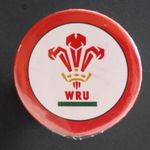 WRU Feathers