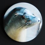 Seal